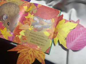 China printed children's book