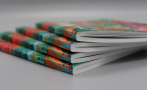 Duplo square spine books